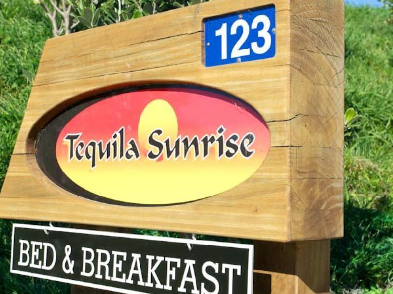 Napier B&B - Tequila Sunrise Eskdale Exterior foto